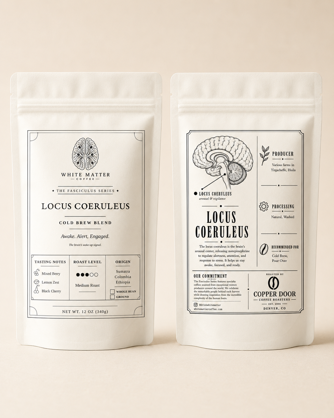 Locus Coeruleus - 3-Origin Blend - Medium Roast